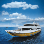 SeaRose Ofertas - Viajes GoPro