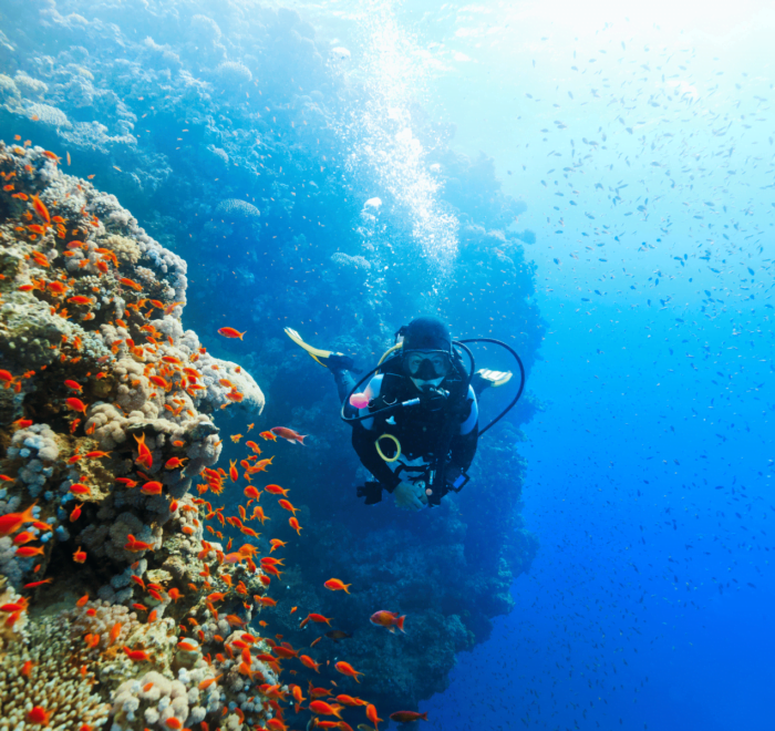Viajar al Mar Rojo - Viajes GoPro