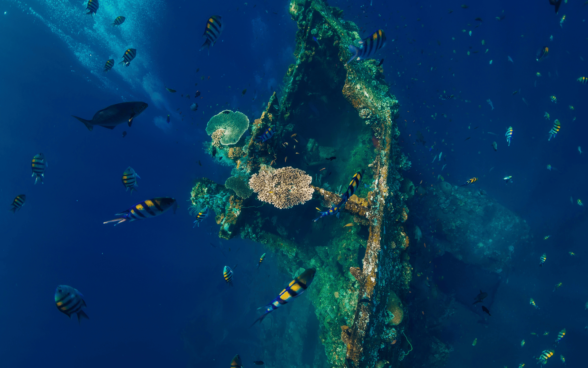 USS Liberty wreck Bali - VIajes GoPro